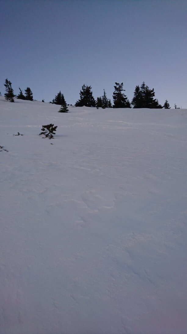 DSC_0036.JPG