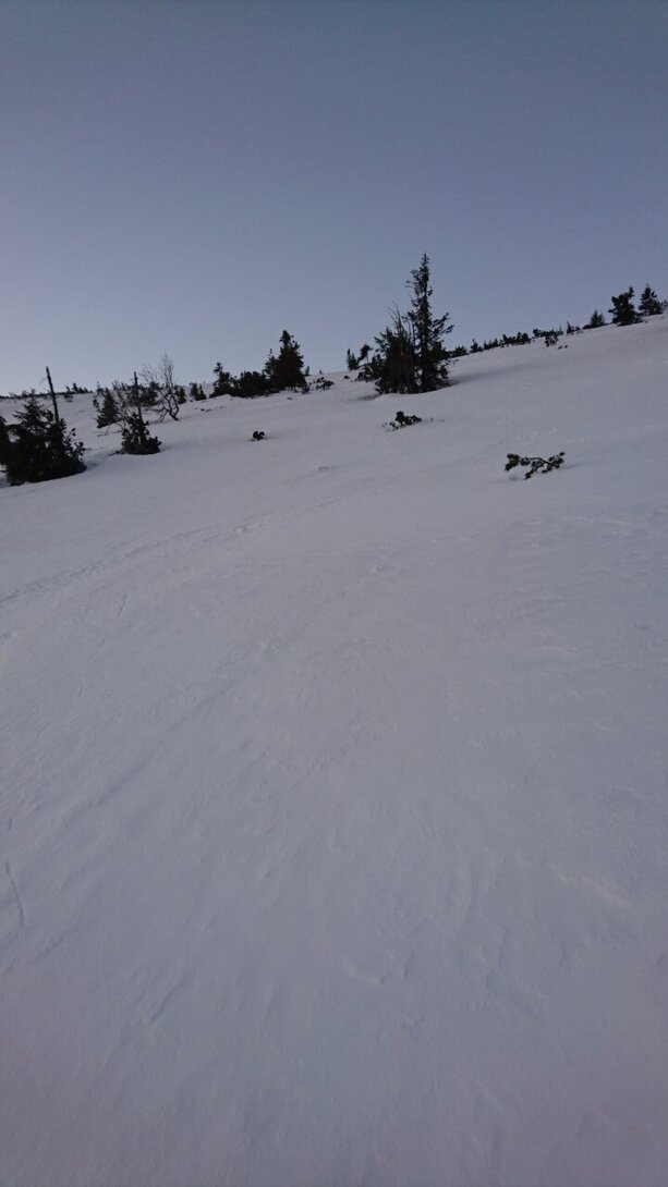 DSC_0037.JPG