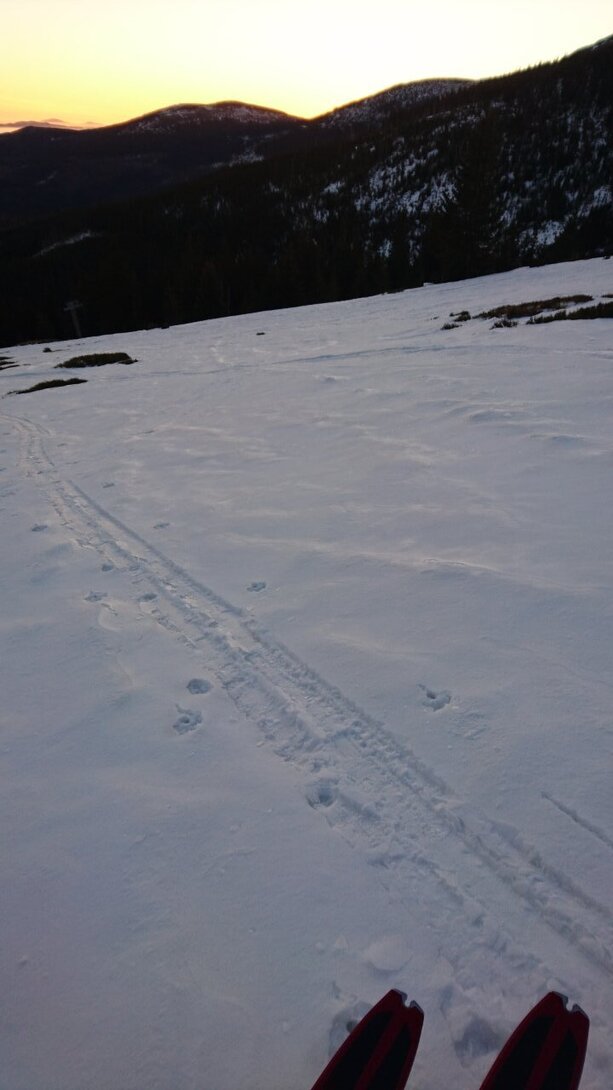 DSC_0048.JPG