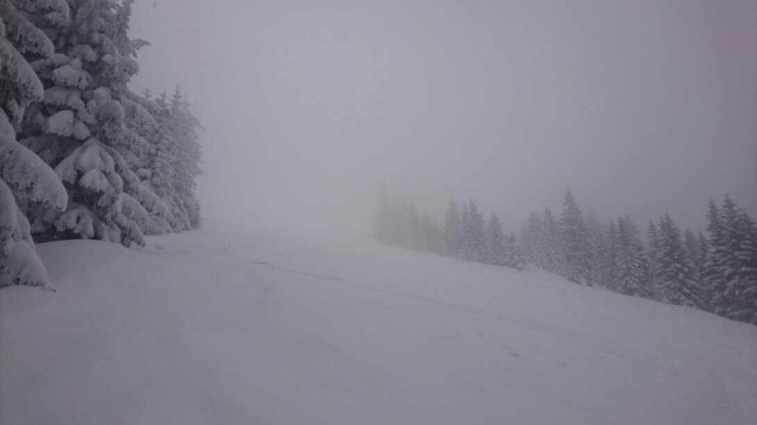 DSC_0112.JPG