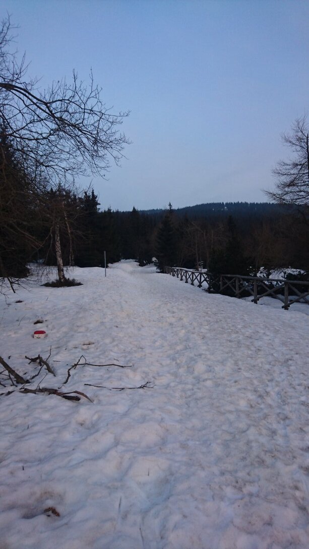 DSC_5276.JPG