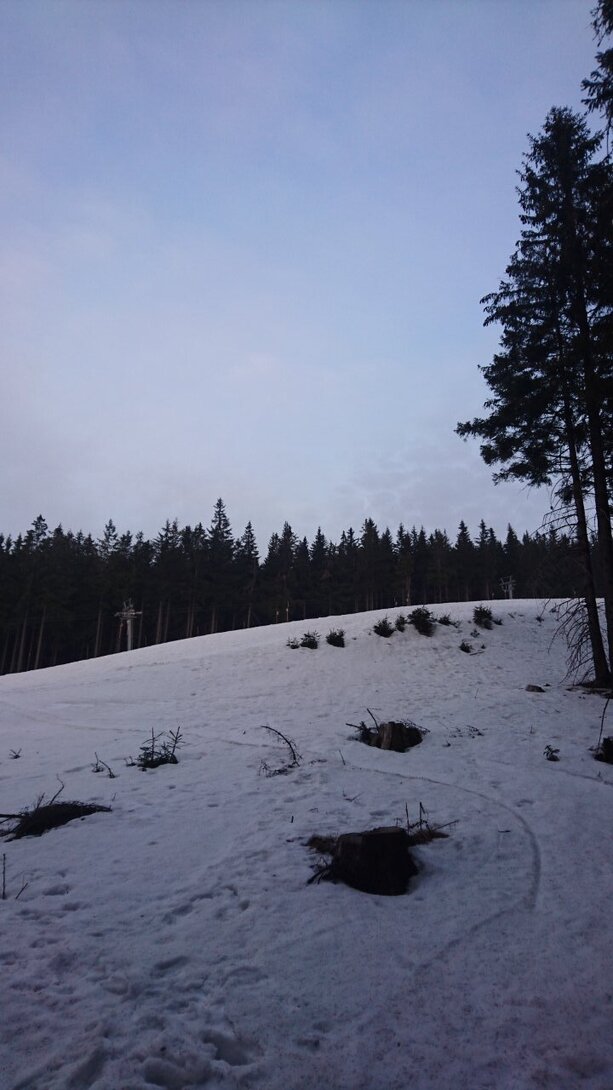 DSC_5279.JPG