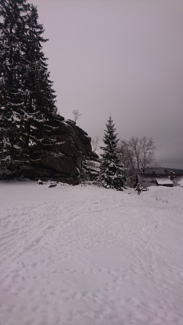 DSC_5434.JPG