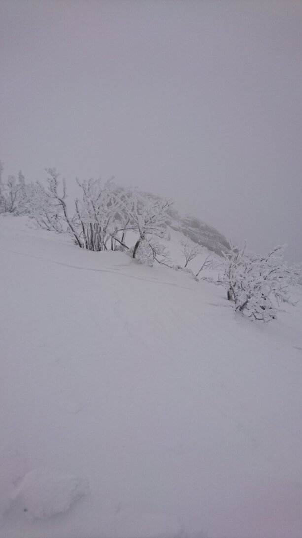 DSC_5453.JPG