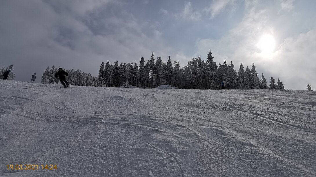 IMG_20210319_142457.jpg