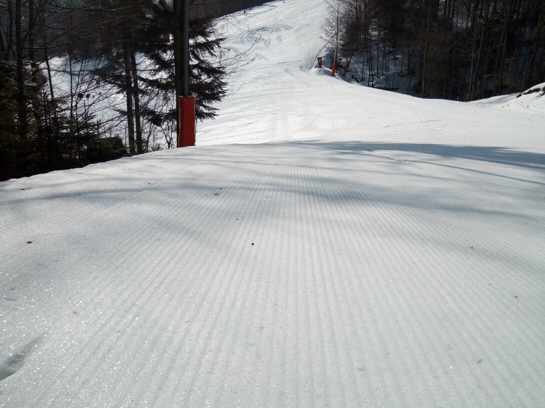 IMG_20210327_082850.thumb.jpg.c4170a7fe47cc1520bcdf5b2ee86e9c0.jpg