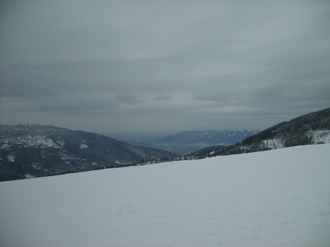 S5003650.JPG