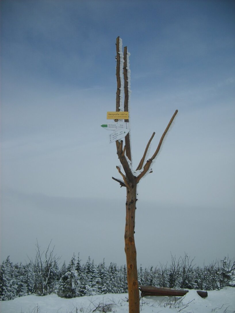 S5003653.JPG