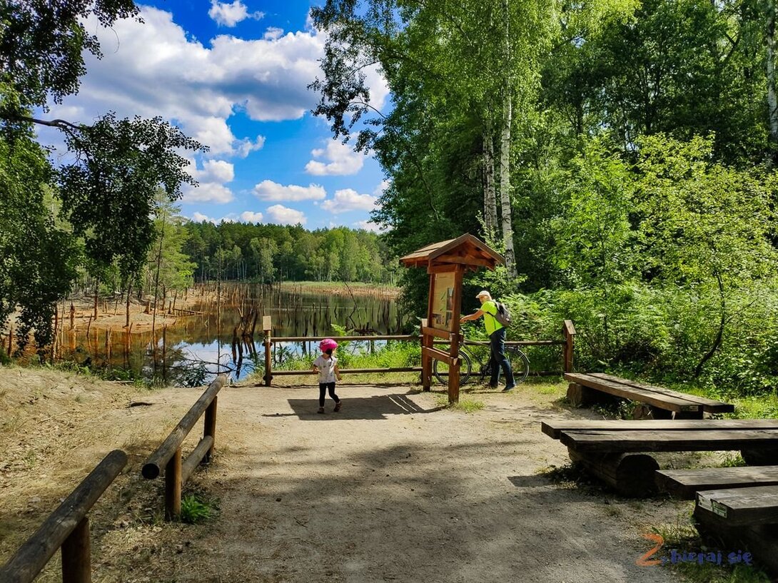 kolorowe_jeziorka_geosciezka_Luk_muzakowa_lubuskie_zbierajsie_leknica_geopark_kopalnia_babina_32.thumb.jpg.6f6bbdb03132877a9457bba7e365afe9.jpg