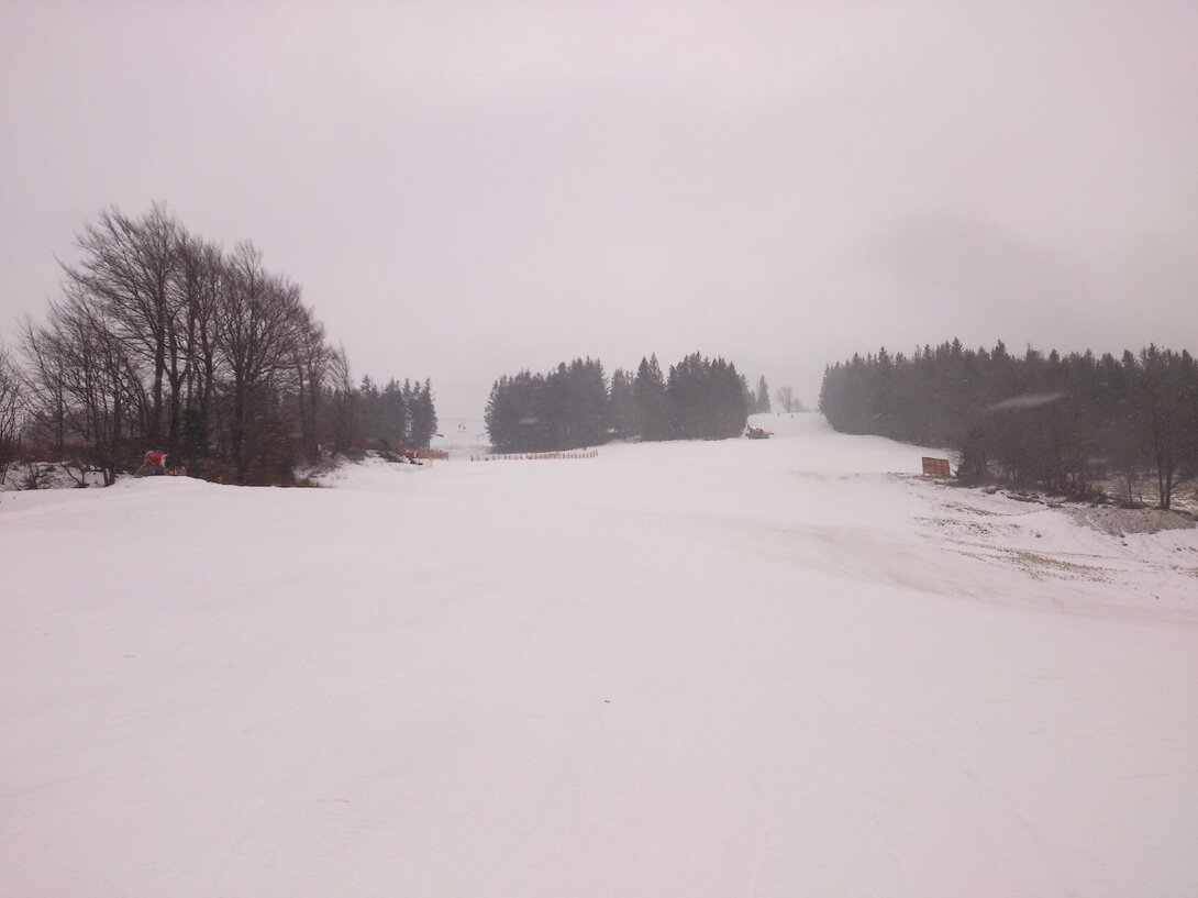 DSC_0079.jpg