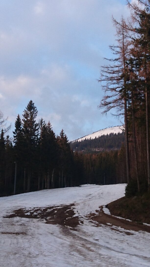 DSC_5786.JPG