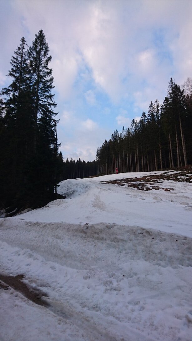 DSC_5790.JPG