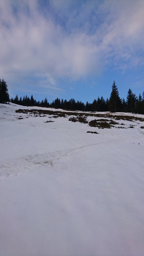 DSC_5805.JPG
