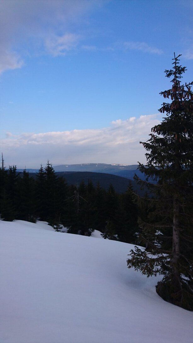 DSC_5808.JPG