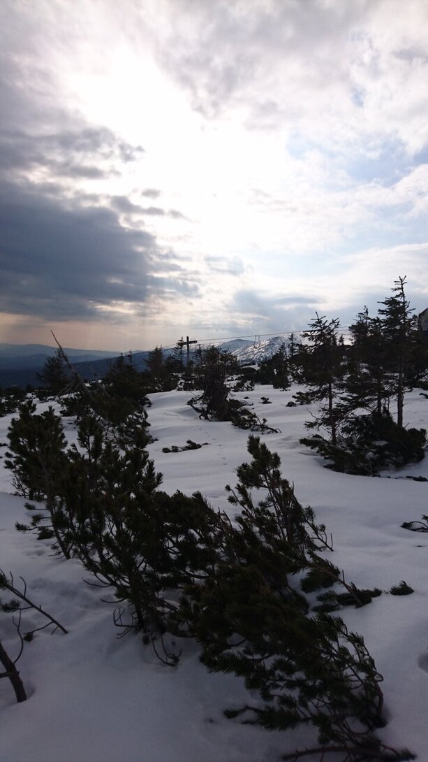 DSC_5817.JPG