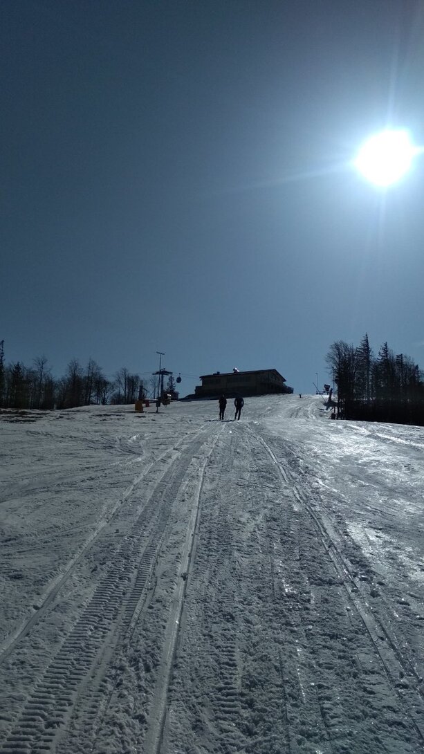 IMG_20210410_091202.jpg