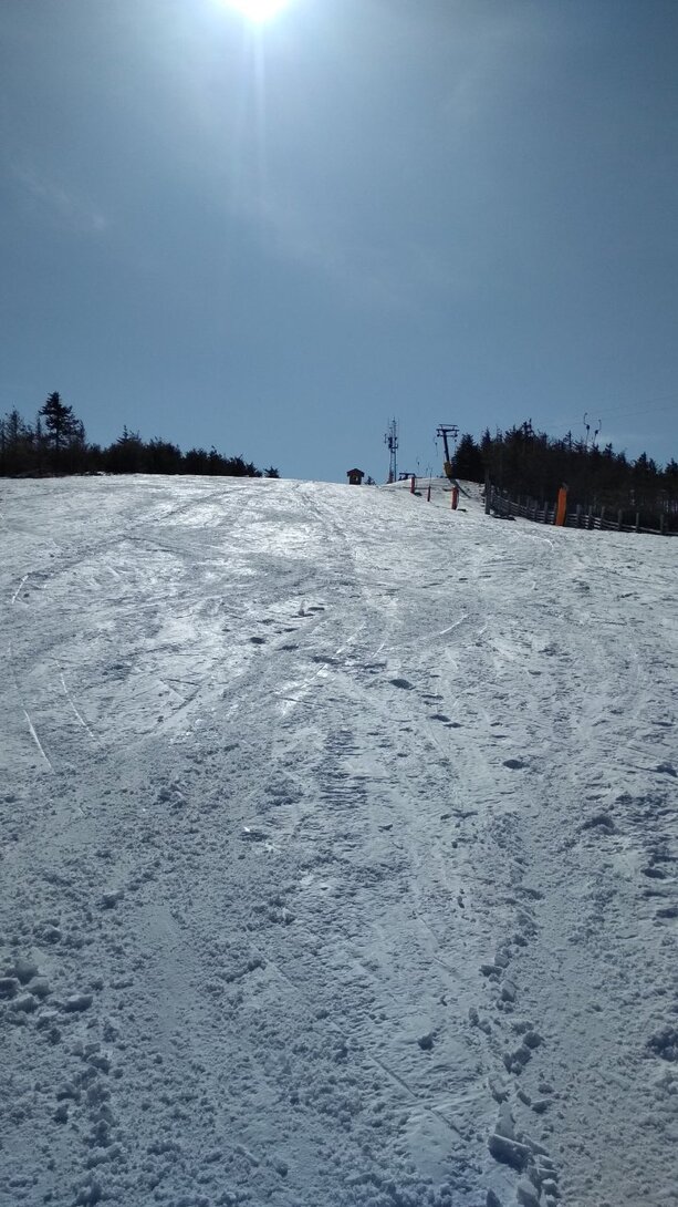 IMG_20210410_094147.jpg