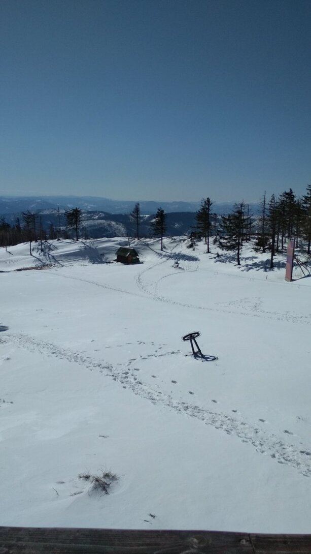 IMG_20210410_101256.jpg