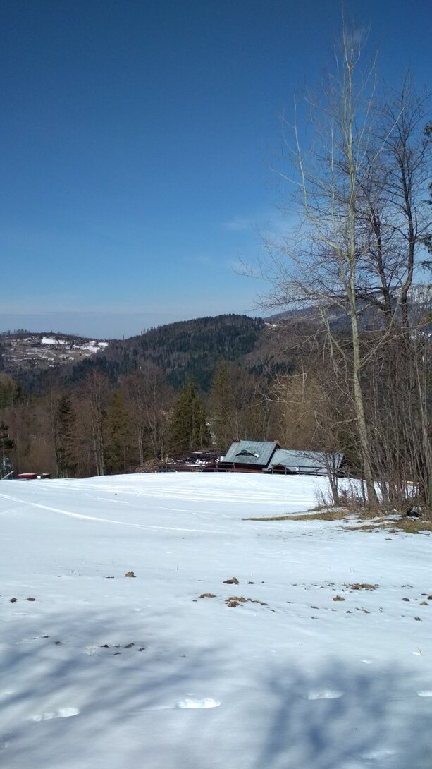IMG_20210410_111200.jpg