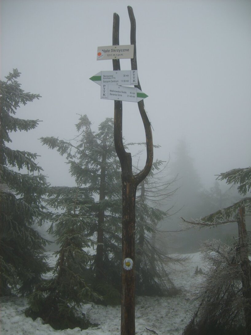 S5003656.JPG