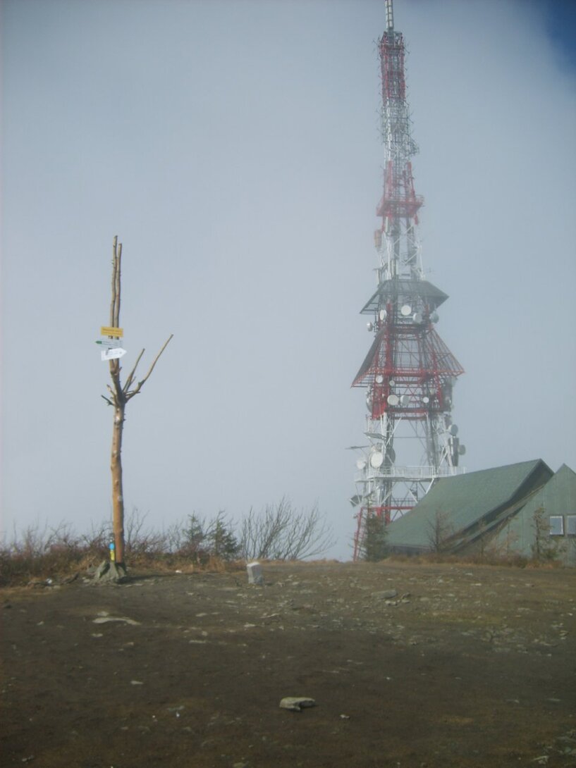 S5003659.JPG