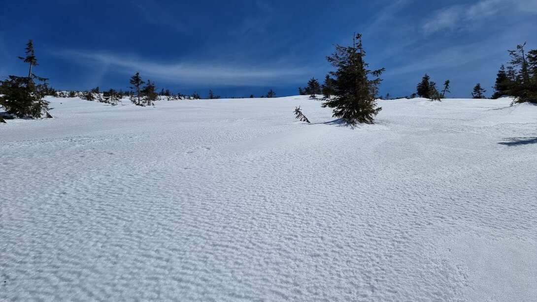 20210509_135622.thumb.jpg.9727a04569fa1341c19b6e43706d720e.jpg