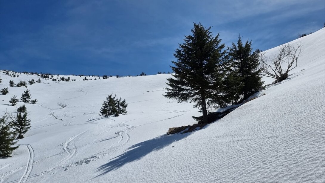 20210509_140842.thumb.jpg.a6f3f2089376d8b7c17dccf75949d25f.jpg
