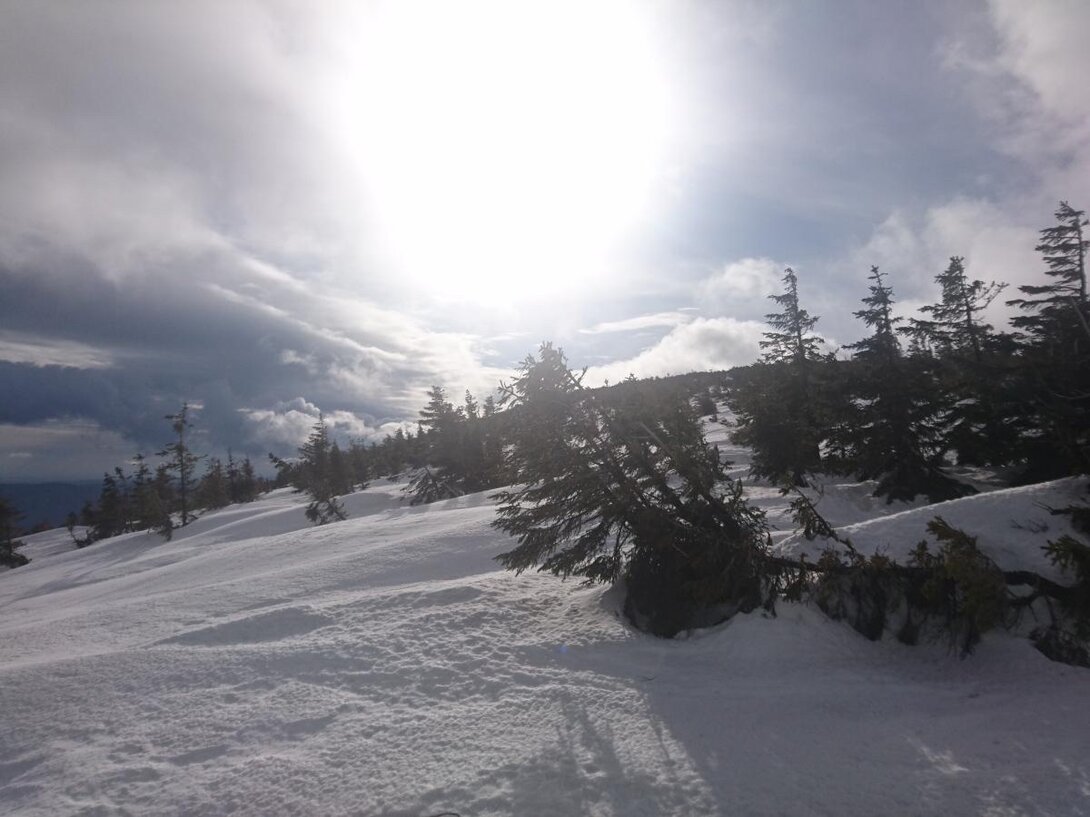 63738AEA-40FD-49BF-BD38-2CC95571798A.jpeg