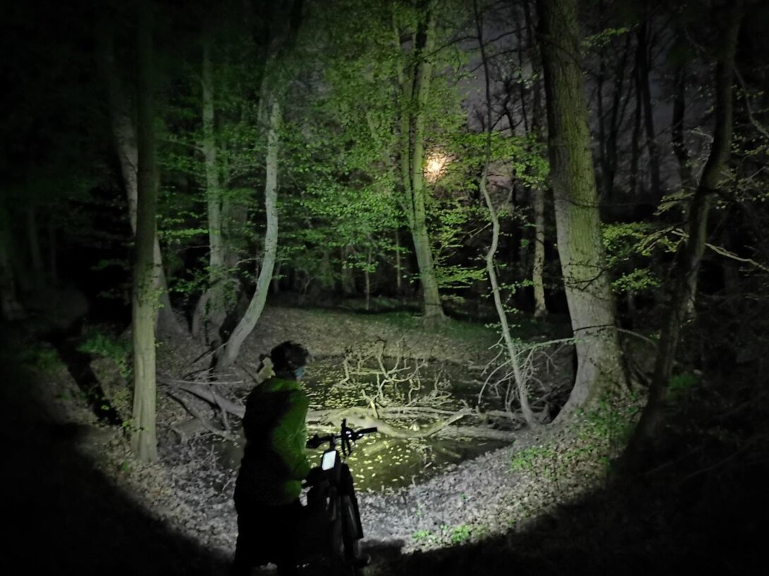 692517852_IMG_20210429_002506NocnezCzernicyPMv3.thumb.jpg.634e4a632d9bd8c21fe7573f9ef29e8b.jpg