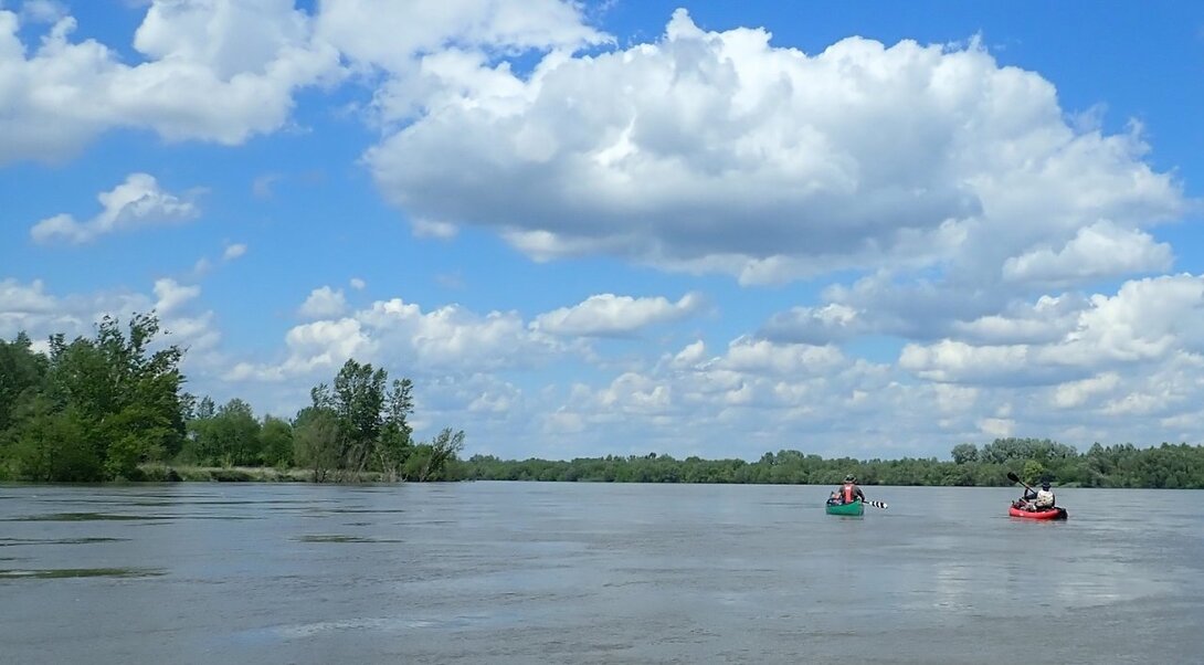 B003.thumb.JPG.1f07c047f051f672c6f274df63f92b7d.JPG