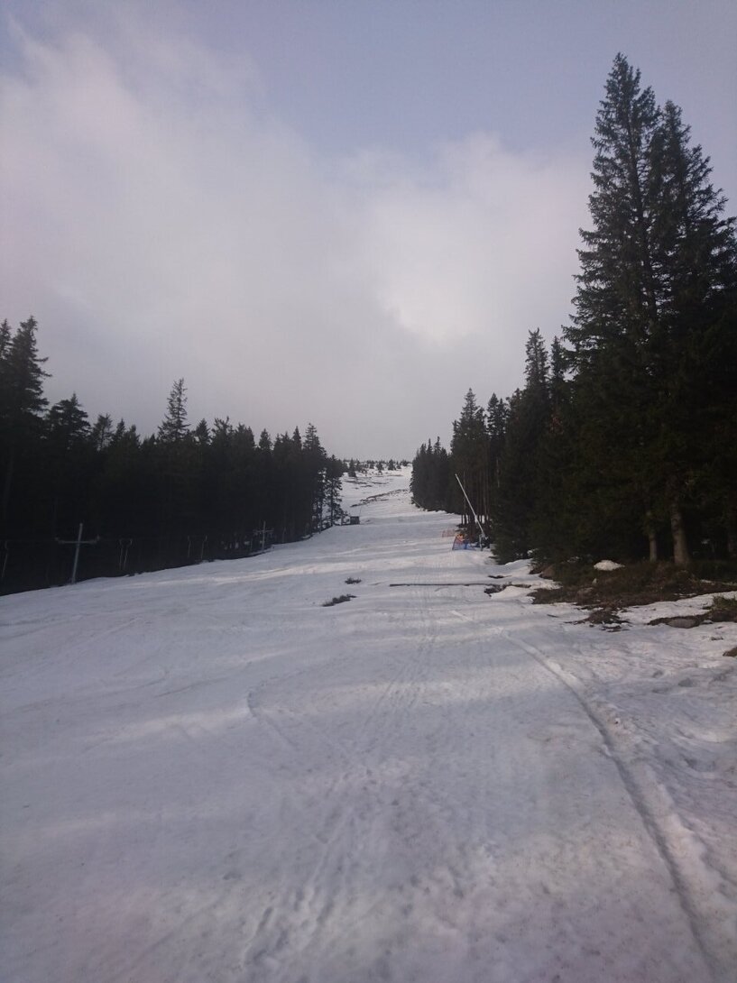 DSC_5856.JPG