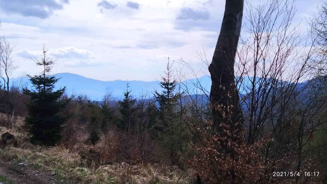 IMG_20210504_161724.jpg