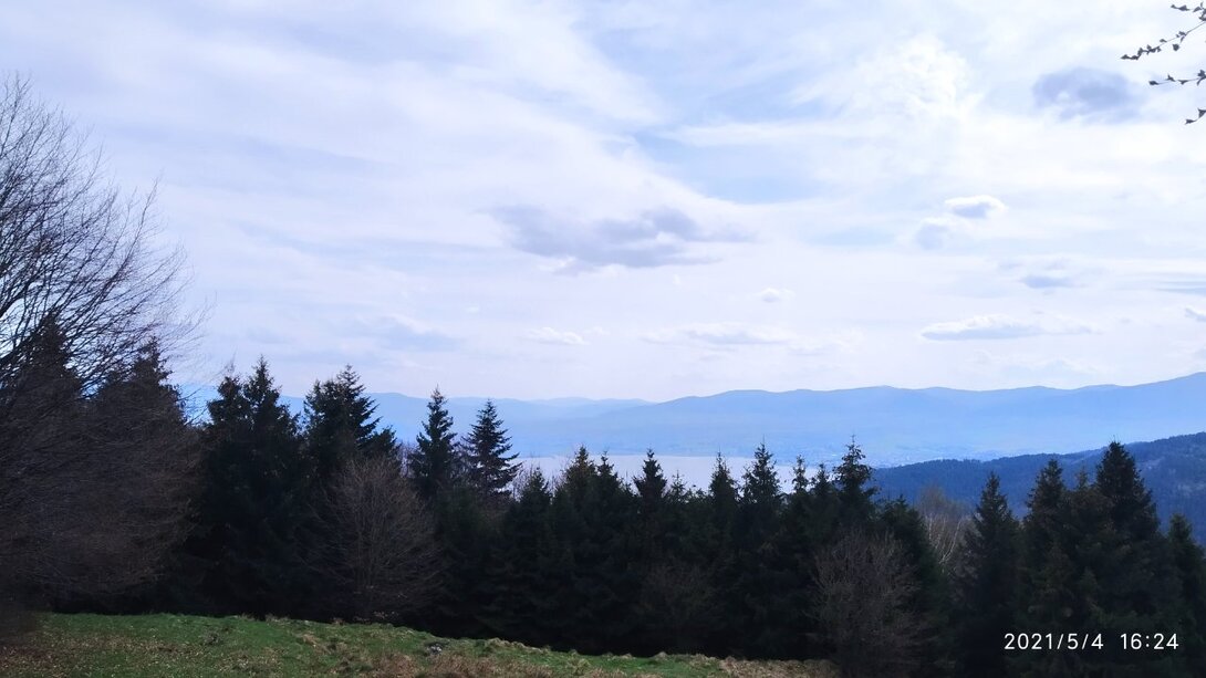 IMG_20210504_162441.jpg