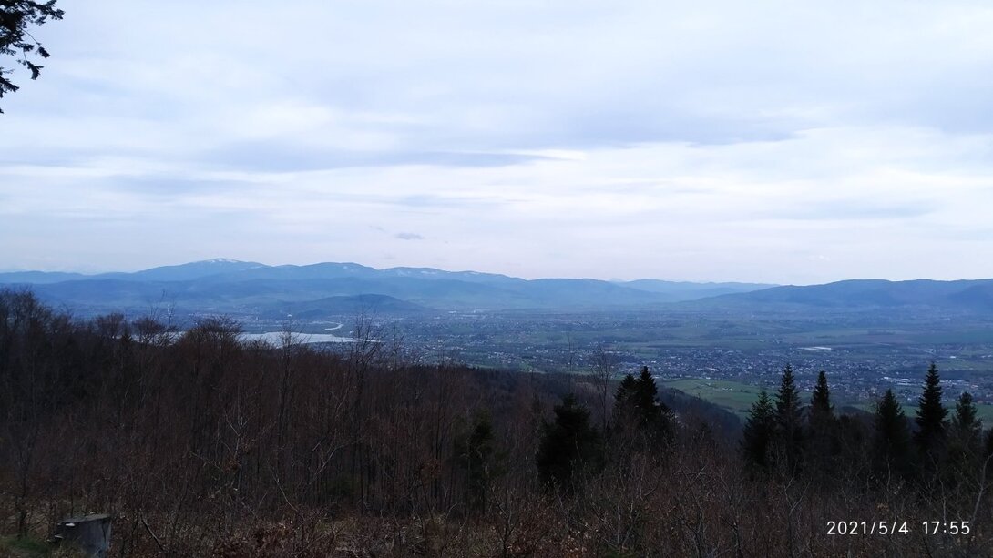 IMG_20210504_175546.jpg