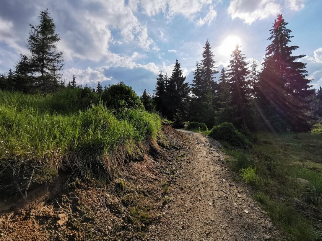 1561379290_IMG_20210627_180543RKTR14SingletrackSzklarskaP.thumb.jpg.e8d2697f2437c6acdc8ae49e7854ac82.jpg
