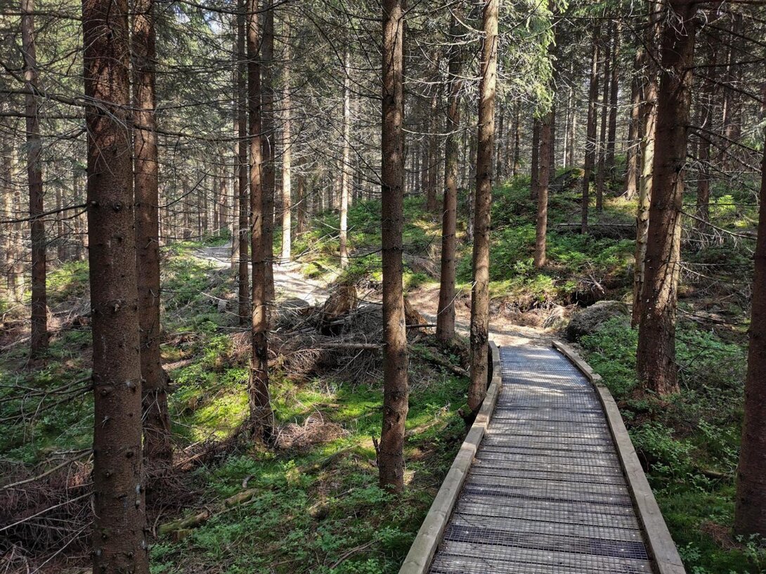 814507160_IMG_20210627_160536RKTR14SingletrackSzklarskaP.thumb.jpg.89a11f312d939937631a474c85712931.jpg