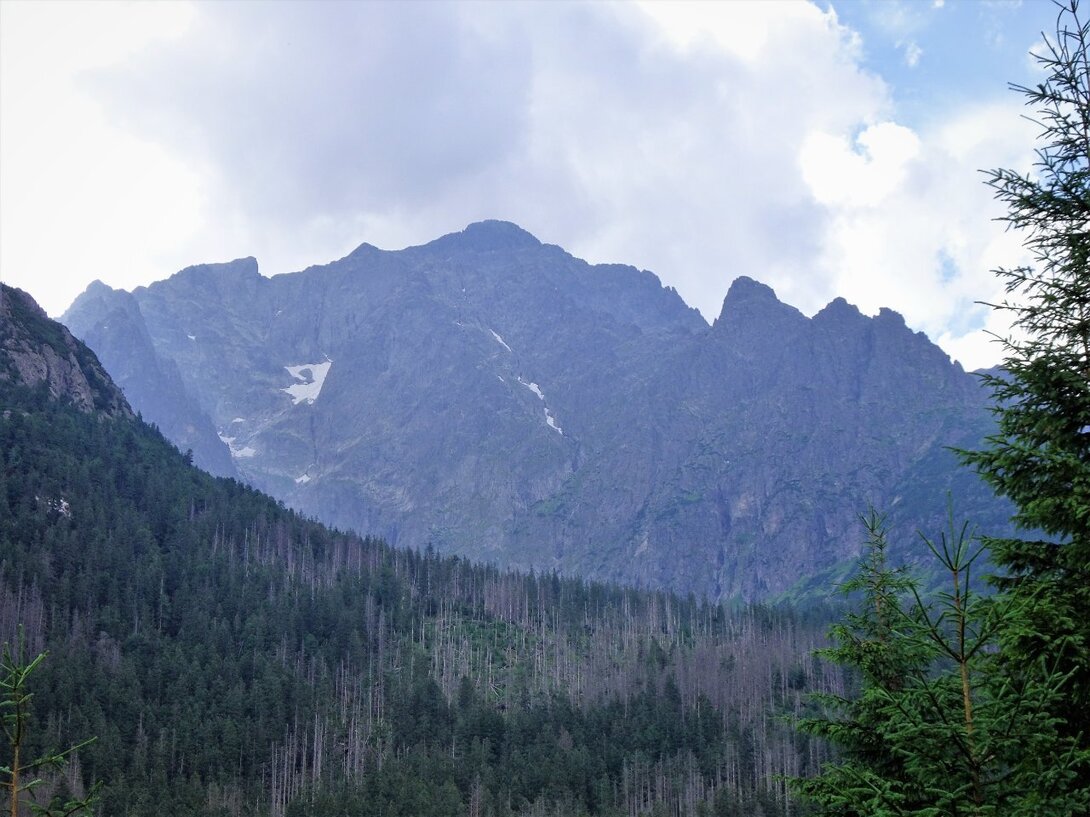 DSC09635.thumb.JPG.512ae8756281f7ee4f3d6f6e3d3b6034.JPG