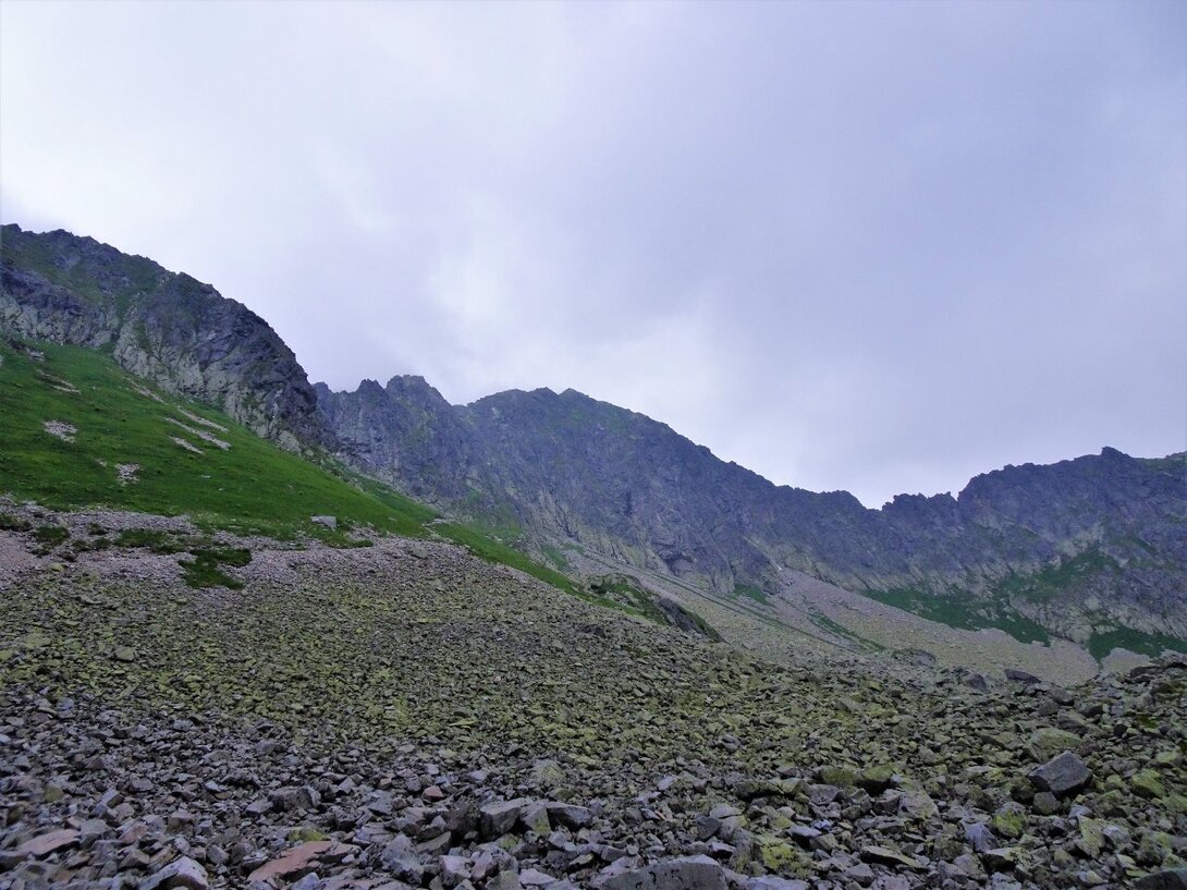 DSC09886.thumb.JPG.e7313d31f8416afcaa86f4bf06cc0b0f.JPG