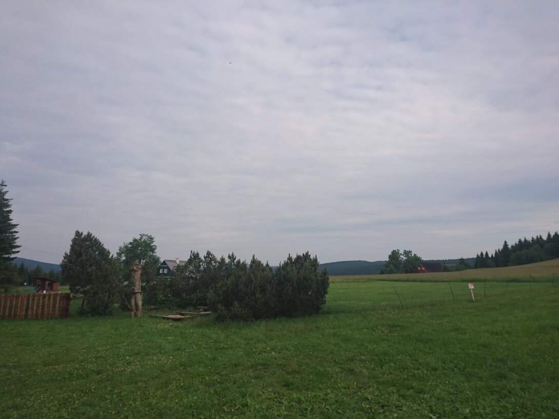 DSC_0143.JPG
