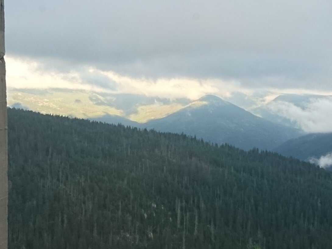 DSC_0211.JPG