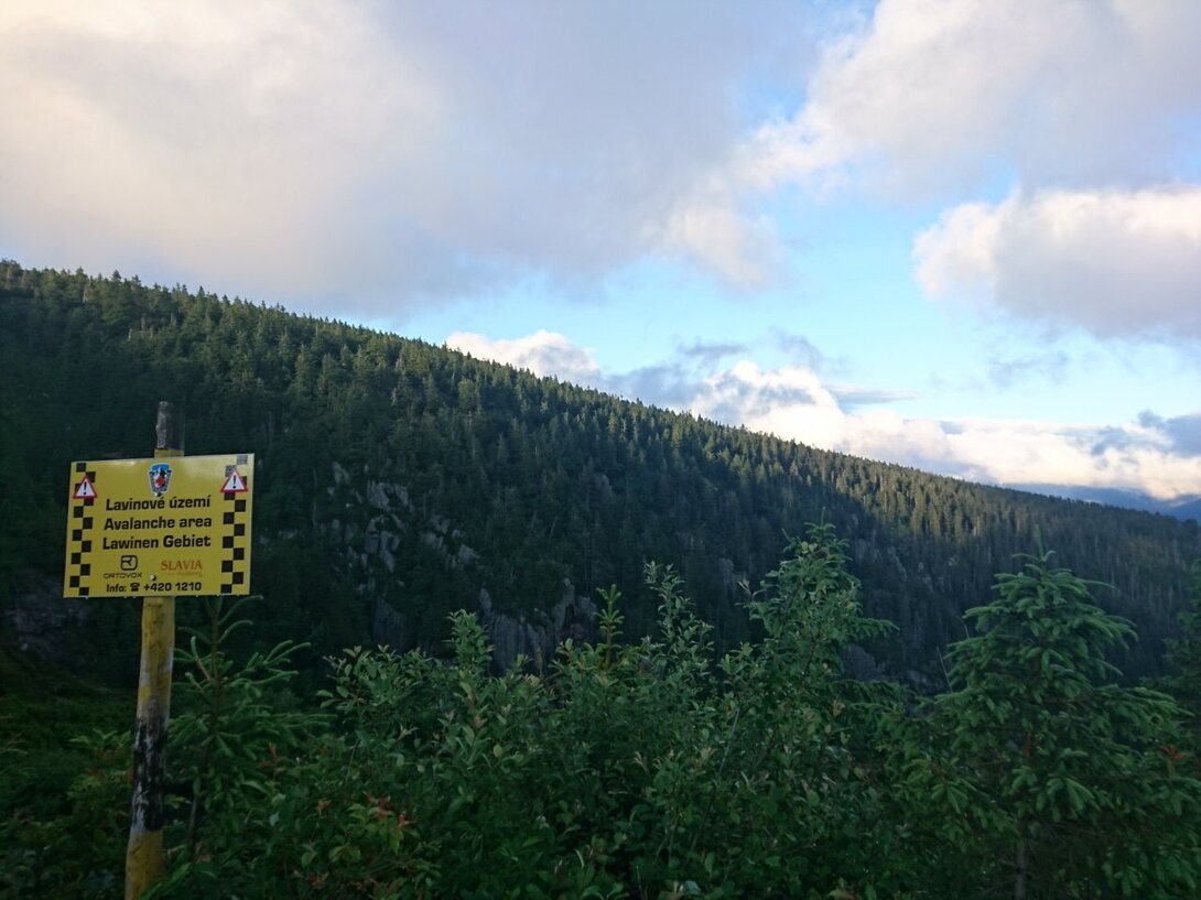 DSC_0220.JPG