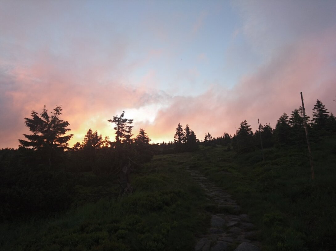 DSC_0249.JPG