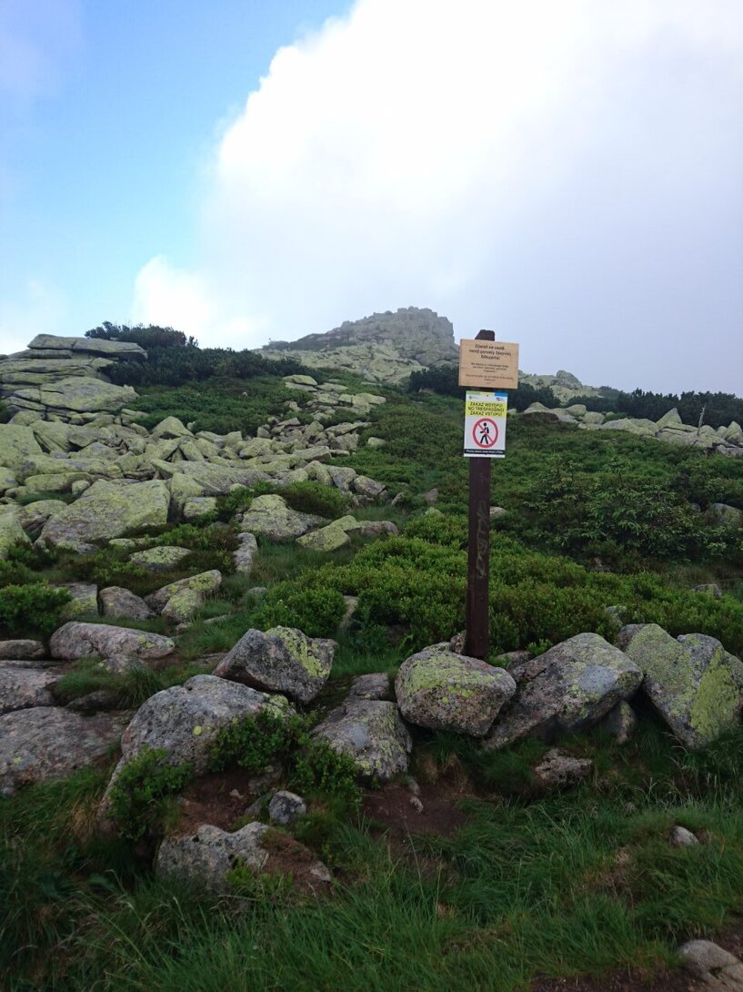 DSC_0264.JPG