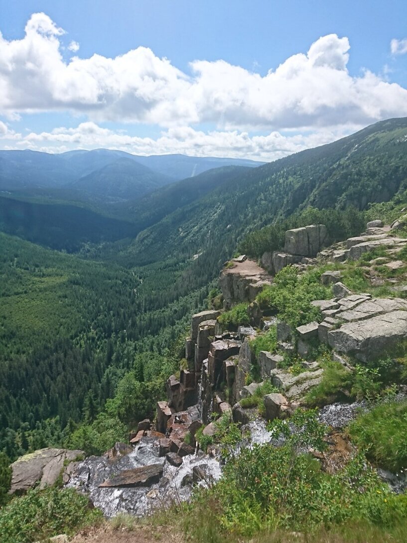 DSC_0305.JPG