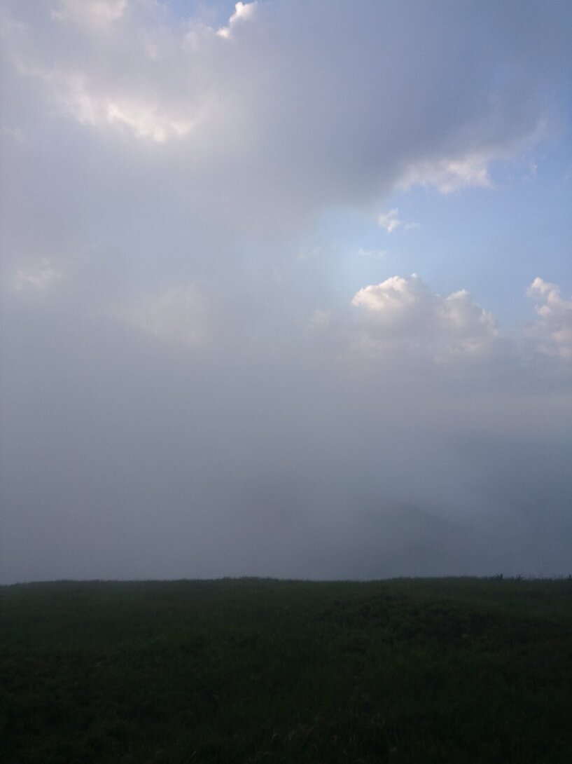 DSC_0342.JPG