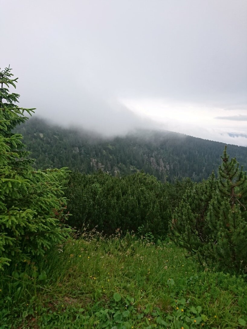 DSC_0363.JPG
