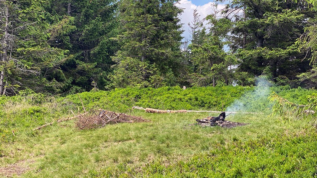 SIEGE8116.jpg.347d8a679bbd228894fb8bbb3a6c4b61.jpg