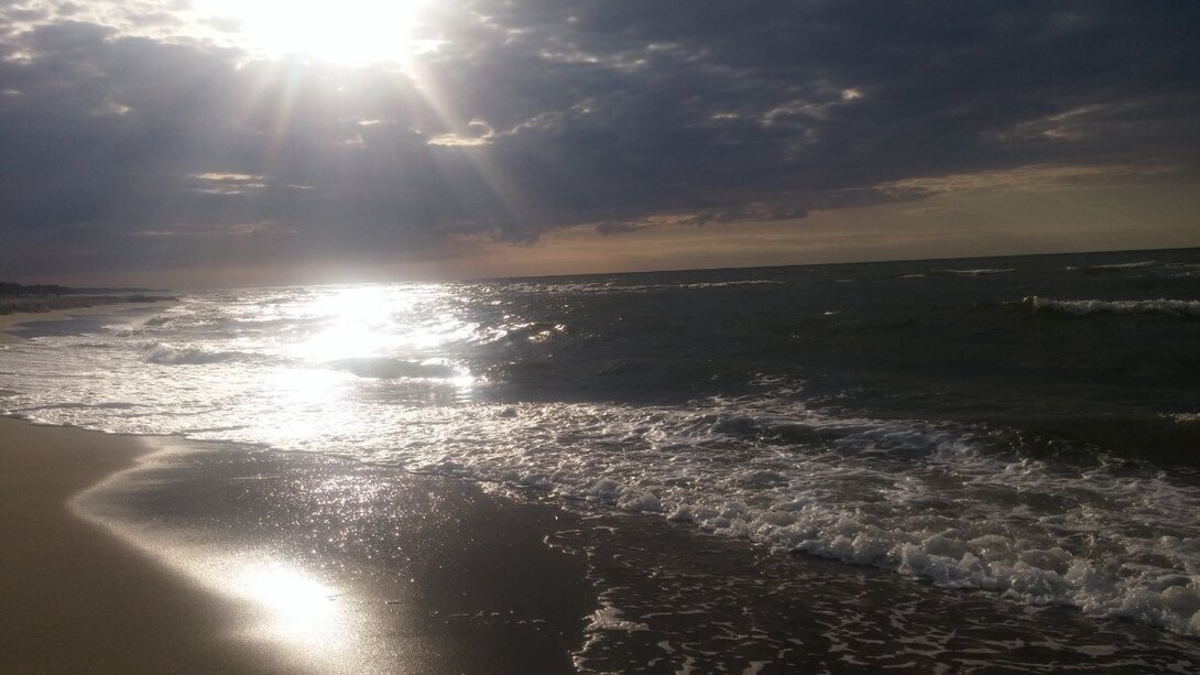 20210731_183900.jpg