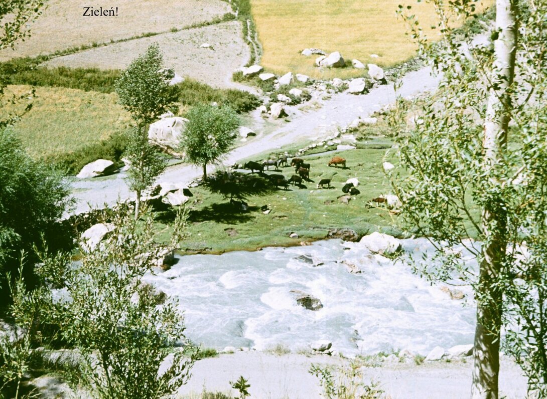 Sielski obrazek.jpg