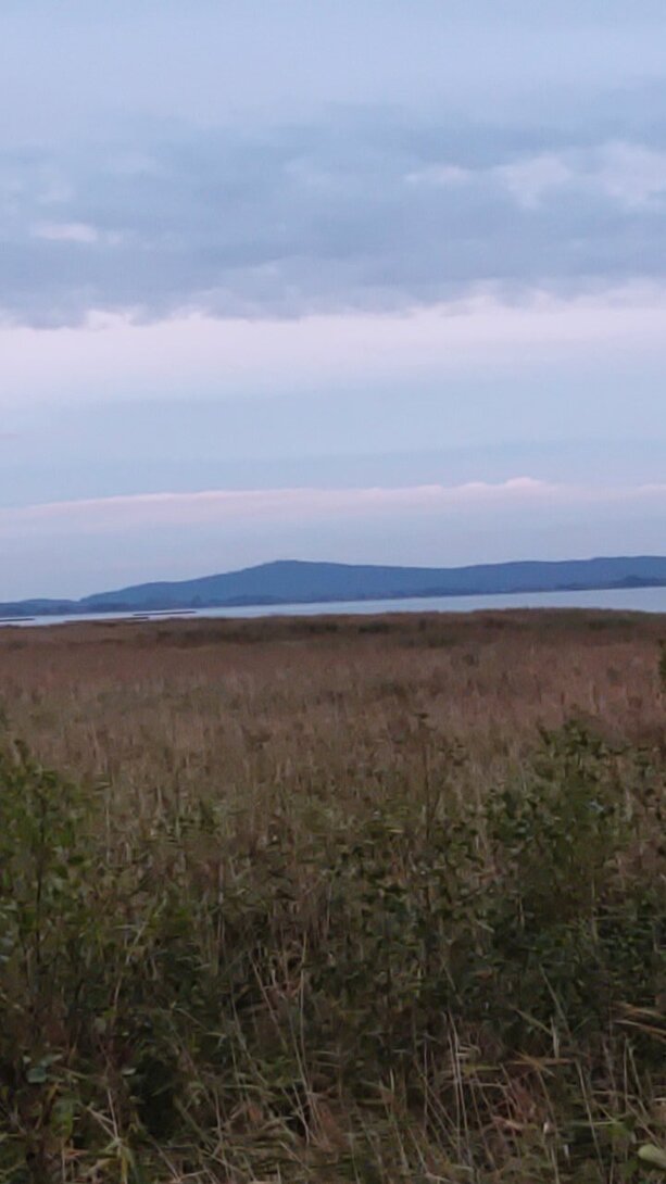 IMG-20210922-WA0006.jpeg
